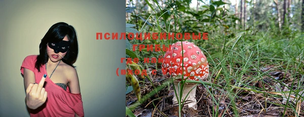 трава Нея