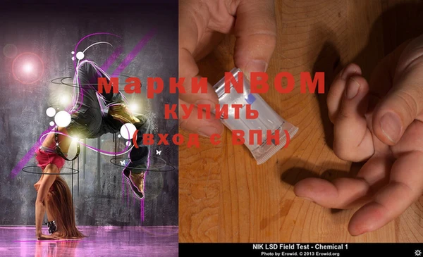прущие грибы Инсар