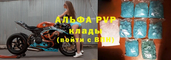 гидра Инта
