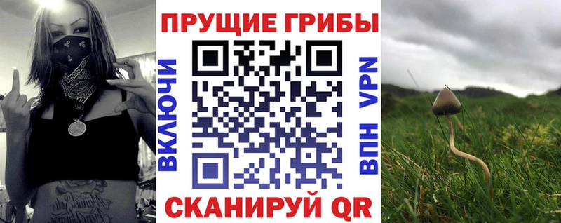 KRAKEN как войти цена Лихославль Псилоцибиновые грибы GOLDEN TEACHER