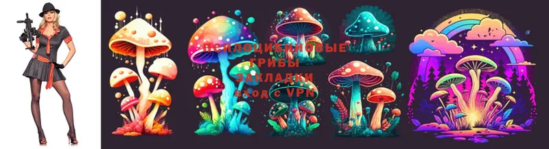 Галлюциногенные грибы Psilocybine cubensis  Лихославль 